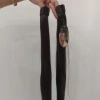 موی دم اسبی