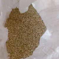 برنج چمپا محلی کیلویی 240