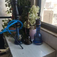 قلیان