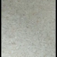 برنج محلی فروش فوری،عمده ای هم داریم