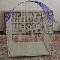قفس پرنده