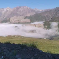 علفتراشی با دستگاه