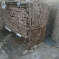 درب و دام توری کبوتر