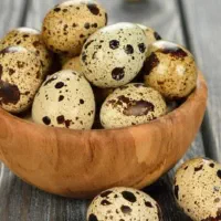تخم بلدرچین