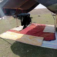 چادر سالم