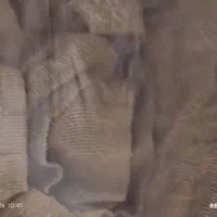 گونی کنفی|گلیم، جاجیم، گبه|قم, باغ شریفی|دیوار