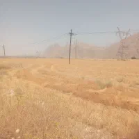 10هکتار برا یک ساله با چاه و پمپ برقی اجاره