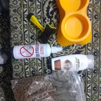 حیوانات سگ 4تومان. تخفیف هم میدم|سگ|رشت, بازار|دیوار