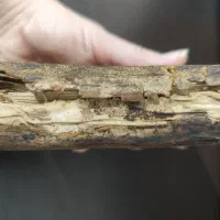 کتاب قرآن|کلکسیون اشیاء عتیقه|ملایر, |دیوار