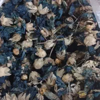 چای کوهی ،آویشن ،بابونه ، گل ختمی کوهی