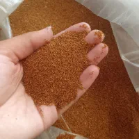 خاکشیرتازه امسالی