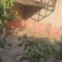 قفس بزرگ