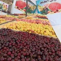 دکور میوه فروشی