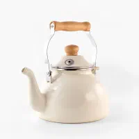 کتری خاص و ترند آشپزخانه ارسال فوری