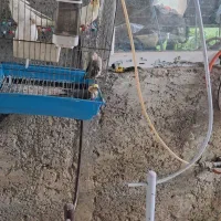 قفس پرنده ،پایه قفس،پرنده