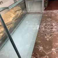 اکواریم نه استفاده نشوده|ماهی|تهران, نازیآباد|دیوار