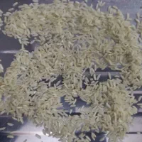 برنج ایرانی فجر|خوردنی و آشامیدنی|مشهد, قائم|دیوار