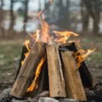 خرید هیزم چوب خشک و هرس درختان باغ