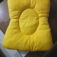 تشک پت