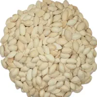 تخمه کدو وافتابگردان درجه یک