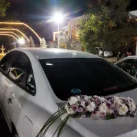 استخدام دانشجو تالار