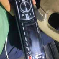 ظبط