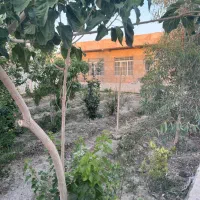 باغ تکیمل بران شمالی اطراف دستجا صفر کلید نخورده