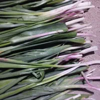 پرموسیر کیلویی 85