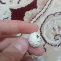 سنگ آسیاب یا الماس