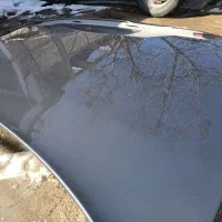 صافکاری ونقاشی  گلستان با بالاترین کیفیت کاری