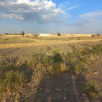 زمین-پدیده