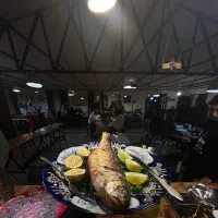 سالندار