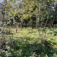 زمین مسکونی برای فروش