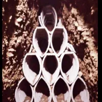 چاه کن  در سراسر فردیس|خدمات پیشه و مهارت|فردیس, فردیس|دیوار