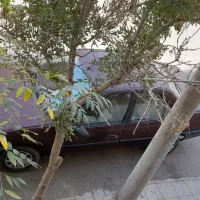 پژو ۲۰۰۰ مدل ۸۱ تقویت قابل معاوضه با تصادفی|خودرو سواری و وانت|اصفهان, عسگریه|دیوار