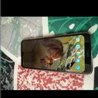گوشی موبایل نوکیا مدل c21