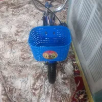 دوچرخه ۱۲|دوچرخه، اسکیت، اسکوتر|مشهد, امیرآباد|دیوار