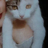 واگذاری رایگان