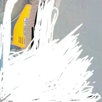 معاوضه باک زرد دندسکی با باک قرمز زرشکی