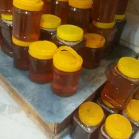 عسل شفت با تست|خوردنی و آشامیدنی|تبریز, |دیوار
