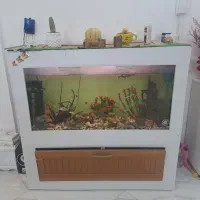 اکواریم یک متر و بیست سانتی متر است|ماهی|مشهد, طبرسی شمالی|دیوار