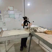 کارگر نانوایی چونه گیر و خمیر زن