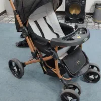 کالسکه دلیجان مدل بنیتا