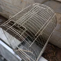 قفس بزرگ|لوازم جانبی حیوانات|قم, باغ کرباسی|دیوار