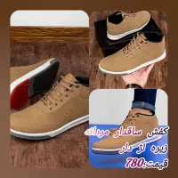 کیف و کفش|کیف، کفش، کمربند|بیجار, |دیوار