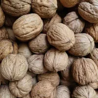 گردو|عمده‌فروشی|ثلاث باباجانی, |دیوار