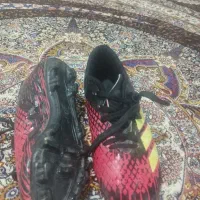 کفش فوتبال|کیف، کفش، کمربند|الوند, |دیوار