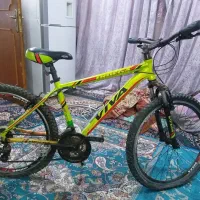 دوچرخه ۲۶ ویوا اصلی