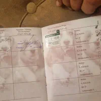وا گزاری گربهDSH شناسنامه دار|گربه|اصفهان, آبشار|دیوار