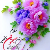 خط رند ایرانسل          09036666929
